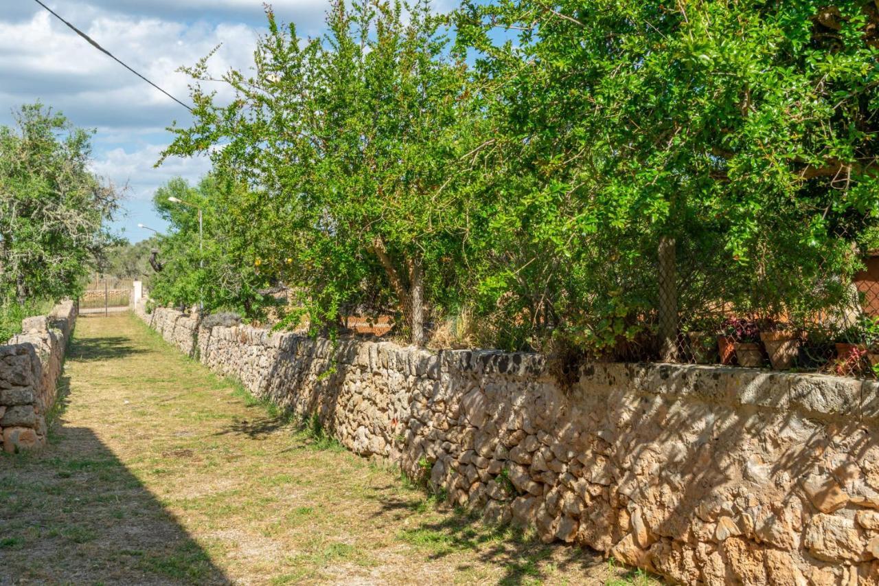Can Fiolet Algaida  Εξωτερικό φωτογραφία