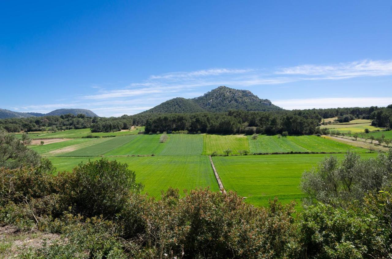 Can Fiolet Algaida  Εξωτερικό φωτογραφία